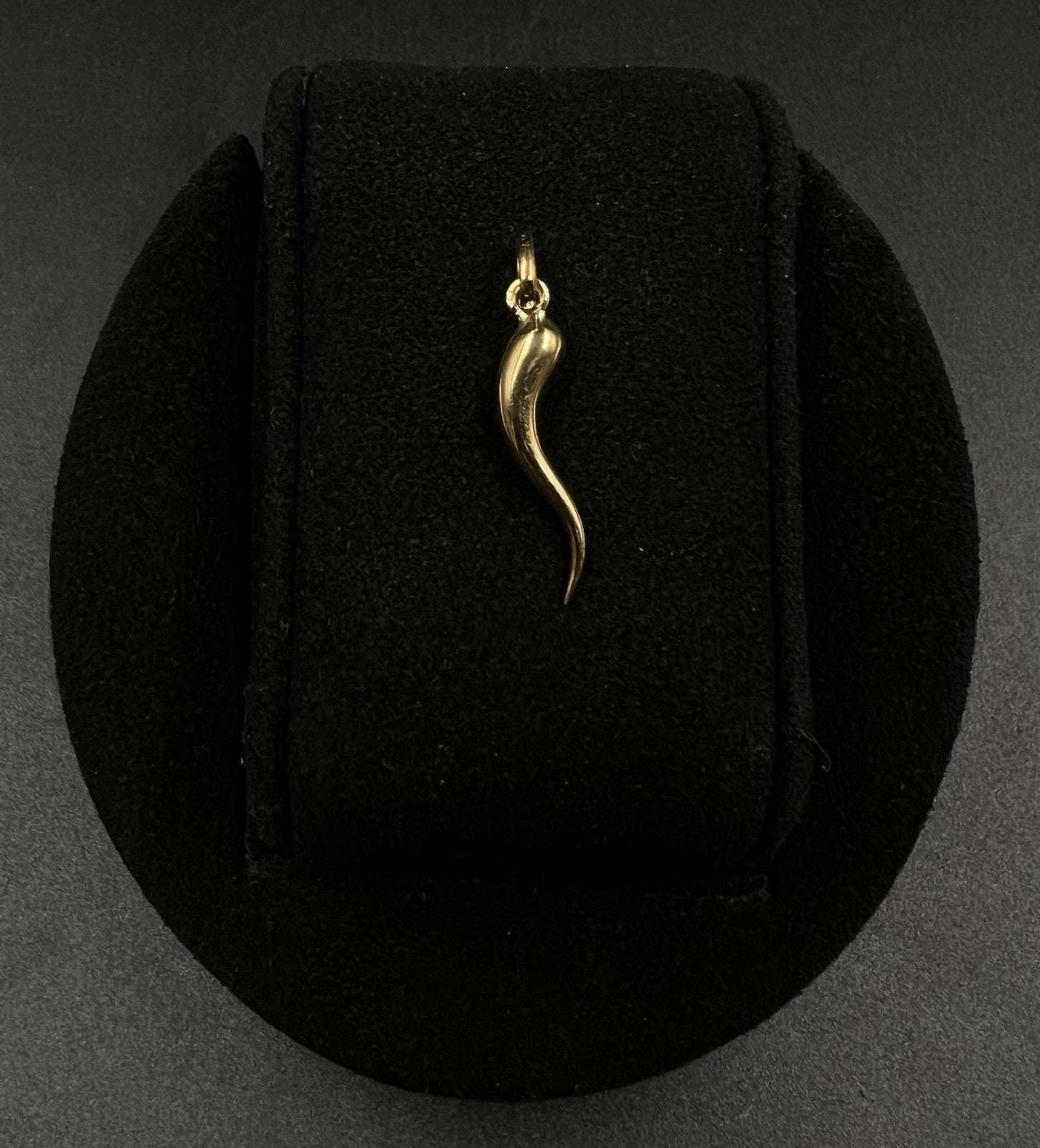 .23” x 1.18” 14K Hollow Yellow Gold Italian Horn Pendant 1.06g | 3 x 5mm Bail |